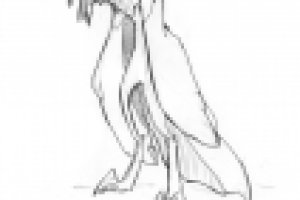 Оригинальные персонажи