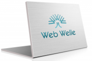 Web Welle - интернет студия