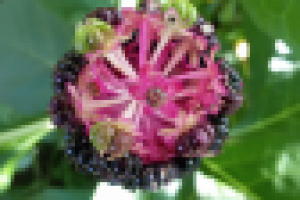 Работа 2918101