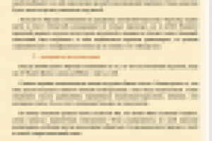 Правильно выбираем плюшевого мишку