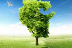 Образ Дерево для рекламной кампании