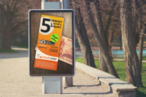 Срочный займ