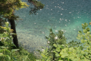 Работа 2909411