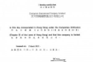 Полный пакет документов для РФ. Контракт, счет фактура, ГТД.