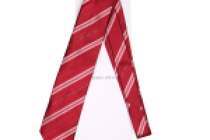 Для Интернет-магазина Galstukitaly.ru