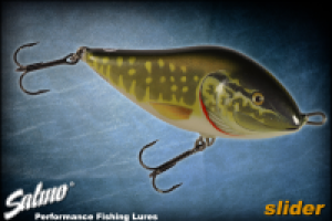 Для компании "ООО Фиш-групп"