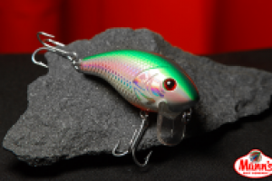 Для компании "ООО Фиш-групп"