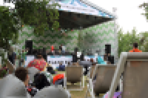 Фестиваль Motherland Summer 2014