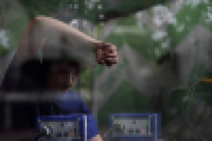 Фестиваль Motherland Summer 2014