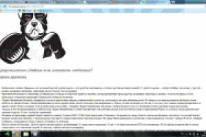 ПРИРОЖДЕННЫЕ ЛЮБИМЦЫ ИЛИ ДОМАШНИЕ ЛЮБИМЦЫ?