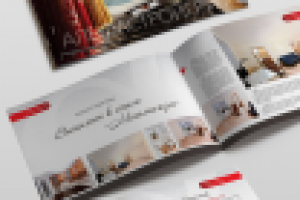 Портфолио компании