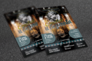 Серия плакатов, афиш и флаеров