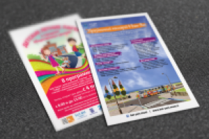 Серия плакатов и флаеров