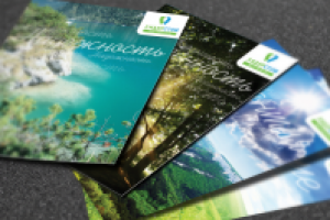 Серия полиграфической продукции