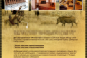 Продажа дебаркадера