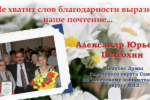 Избирательная компания