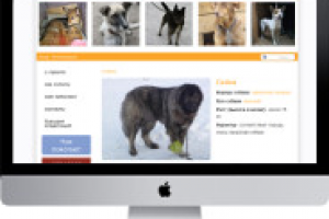 Портал Ивановского Приюта для Животных