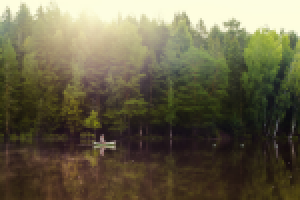 Работа 2087939