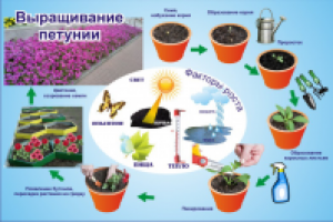 таблица для наглядного пособия