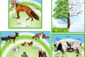 пособие для детей