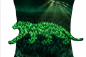 Земля Ирбиса