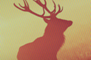 Дизайн личной обложки на Facebook