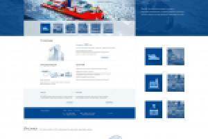 AMT INSURANCE: Insurance company