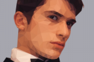 Полигональный портрет