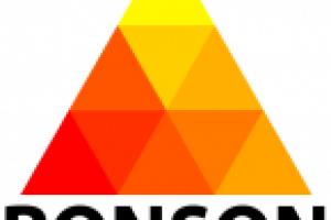 логотип для компании Ронсон