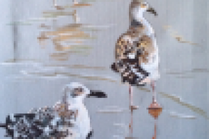 Работа 2893241