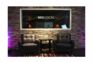 Фирменный стиль звукозаписывающей компании