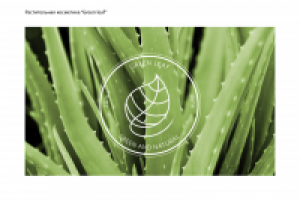 Фирменный стиль для растительной косметики "Green leaf"