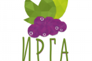 Агентство креативных решений "ИРГА"