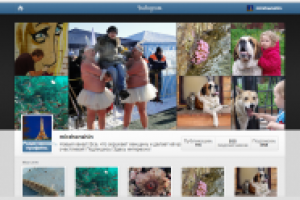 Страница в Инстаграм. От 1000 руб.