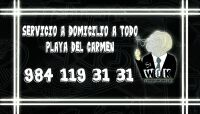 img2809539.png