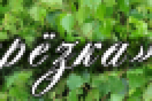 Интернет-магазин "Березка"