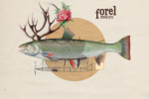 Обложка альбома для группы "Forel"