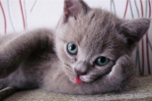 Сказка о смысле жизни