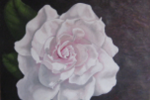 Цветок нежности (масло)