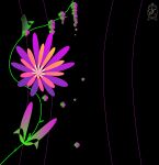 img930182.png