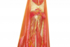 Fashion Collection    Fire-bird