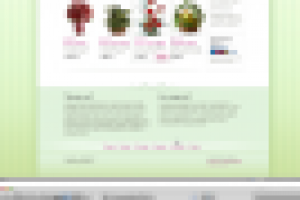 Сайт цветочного салона