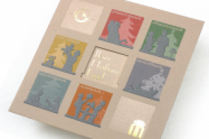 Новогодняя открытка с разными видами спец-отделок