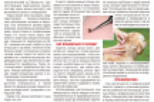 "Побочные эффекты" лета (часть 2)