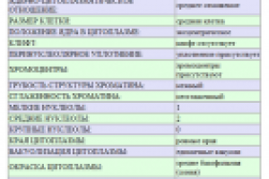 Формирование отчета бд системы диагностики острых лейкозов