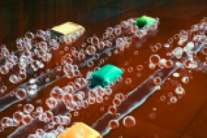 Печать Царя Саломона