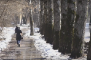 Настальгический этюд на тему весны