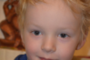 Работа 2144413