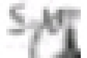 Спринетр вито