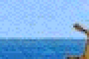 Разработка различных баннеров gif или flash 88х31